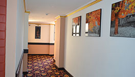 Tashiling Residency Hotel & Spa, Gangtok- Passage Way