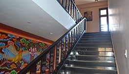 Tashiling Residency Hotel & Spa, Gangtok- Staircase