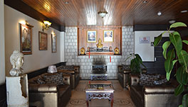 Tashiling Residency Hotel & Spa, Gangtok- Fire Place Lobby Area