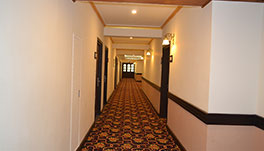 Tashiling Residency Hotel & Spa, Gangtok- Hallway